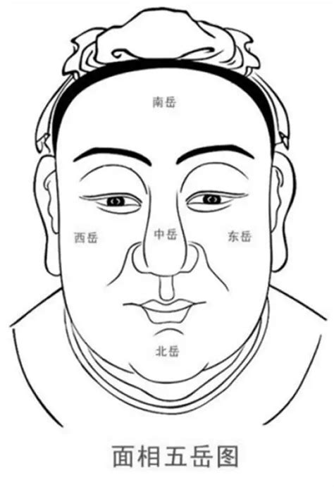 面相|面相学